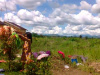 IMG-20190614-WA0004